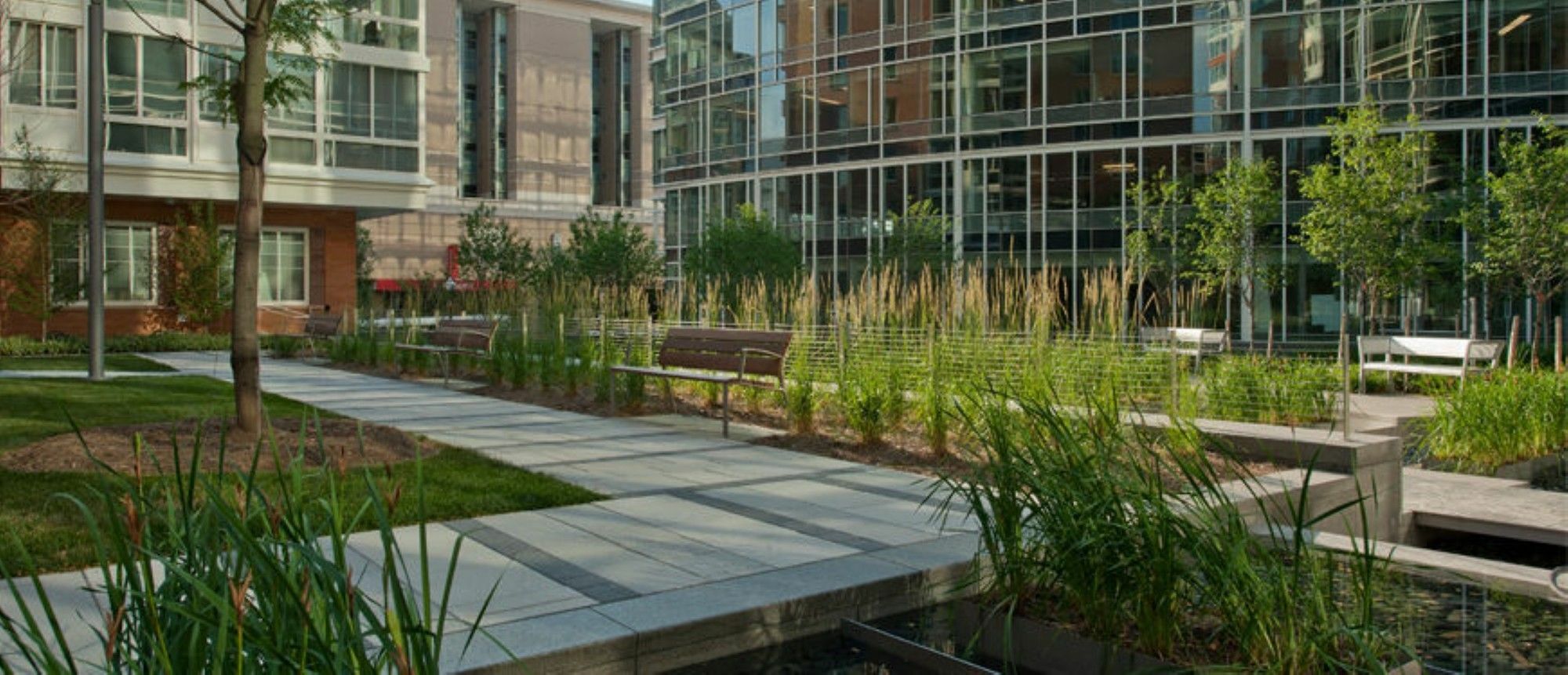 Global Luxury Suites At Foggy Bottom Washington Eksteriør bilde